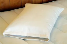 All-Natural Travel Pillow