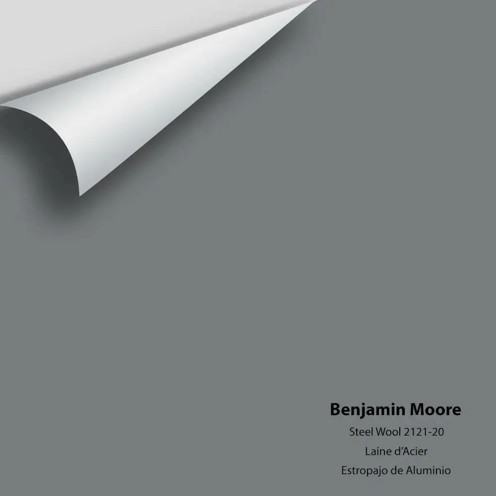 Benjamin Moore - Steel Wool 2121-20 Colour Sample