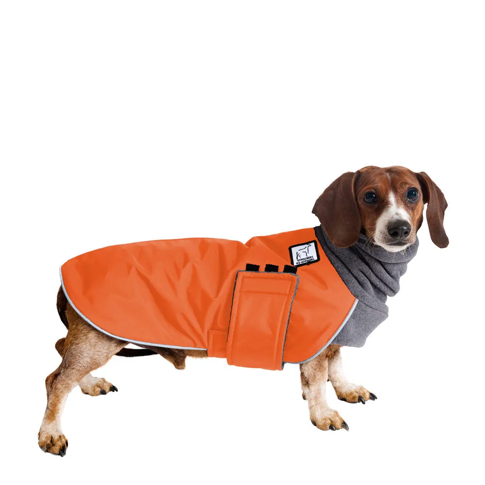 Miniature Dachshund Winter Coat